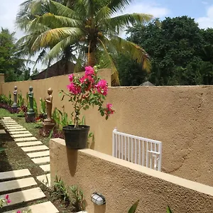 The Daryana Villa